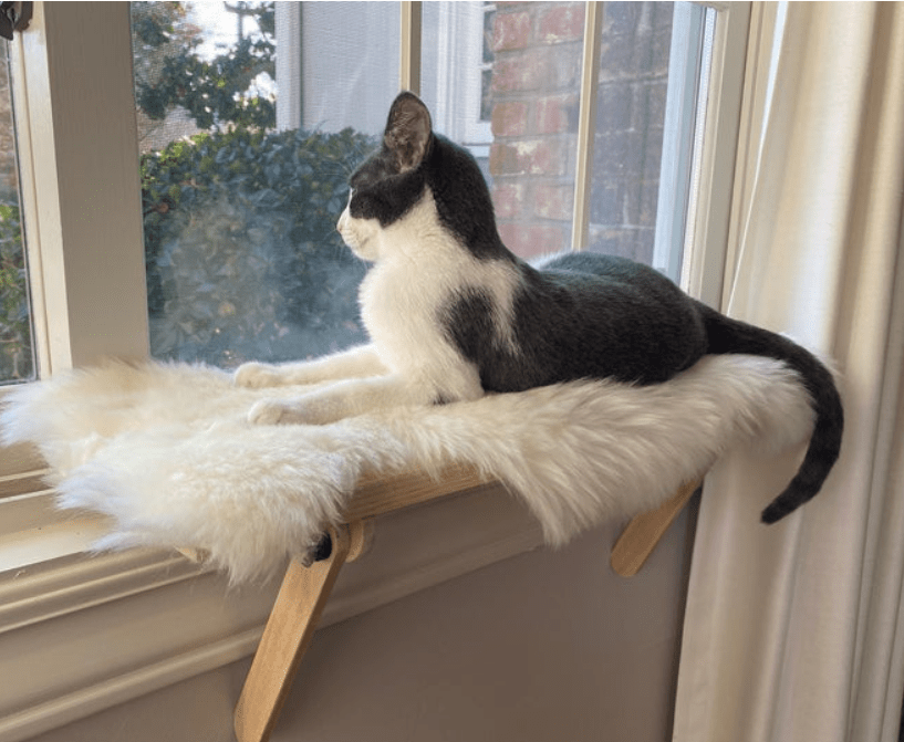 Cat Window Perch Handcrafted cat furniture Etsy cat perches