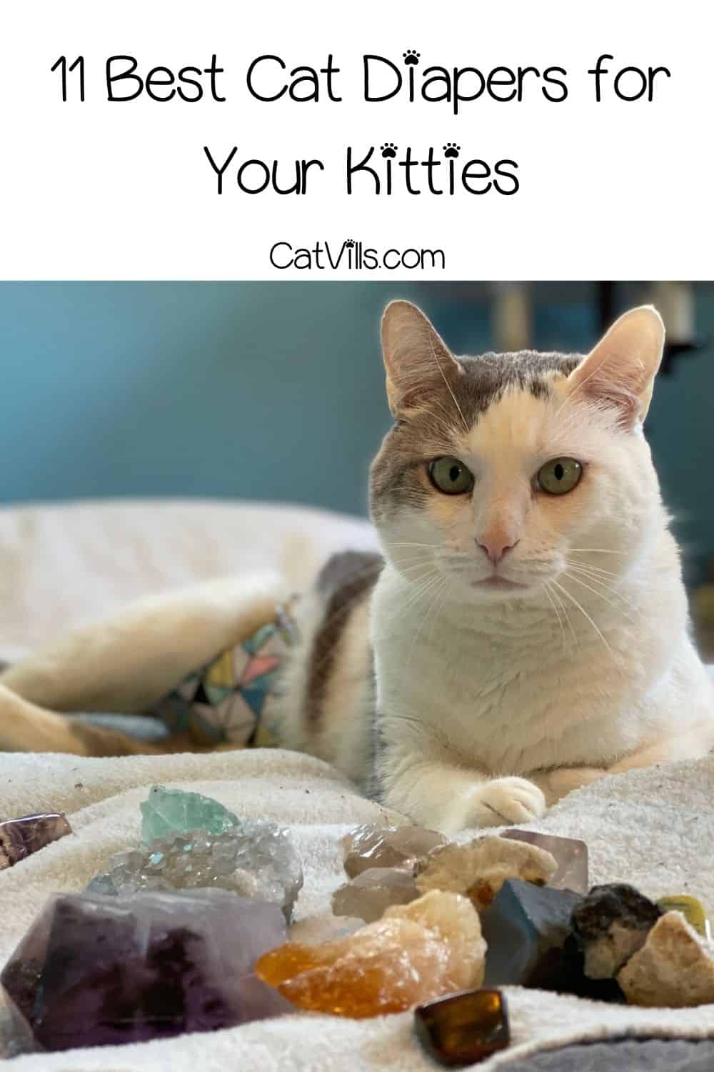 11 Best Cat Diapers Comfortable Solutions for Your Cat