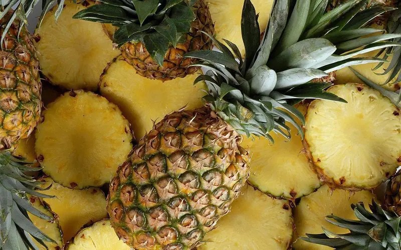 Can Cats Eat Pineapple? VetApproved Facts And Advice