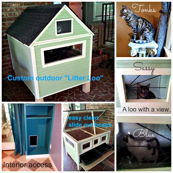 The History of Cat Litter and Litter Boxes Cat Wisdom 101