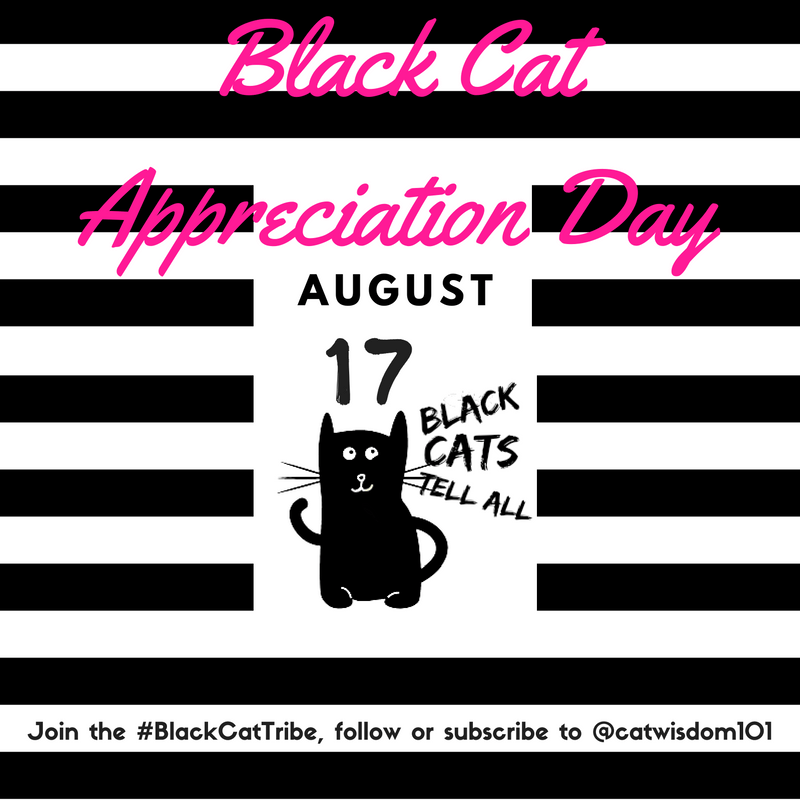 How To Appreciate Black Cats on National Black Cat Appreciation Day