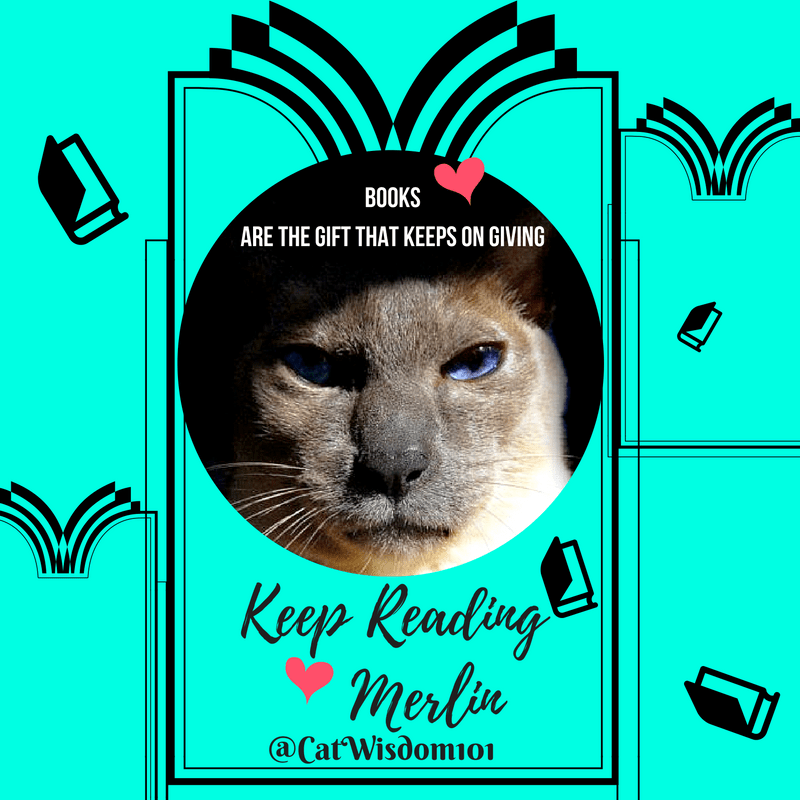Summer & Fall Cat Book Favorites Cat Wisdom 101