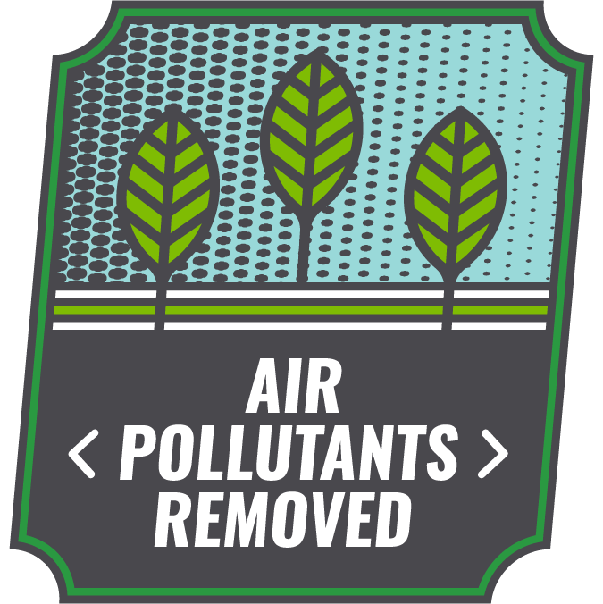 Trees are Essential Tree Benefits California Urban Forests Council