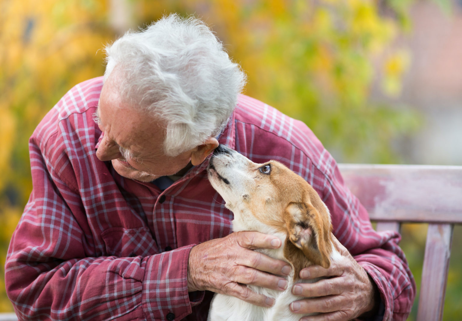 Limestone Lodge Assisted Living Cavalier Senior Living