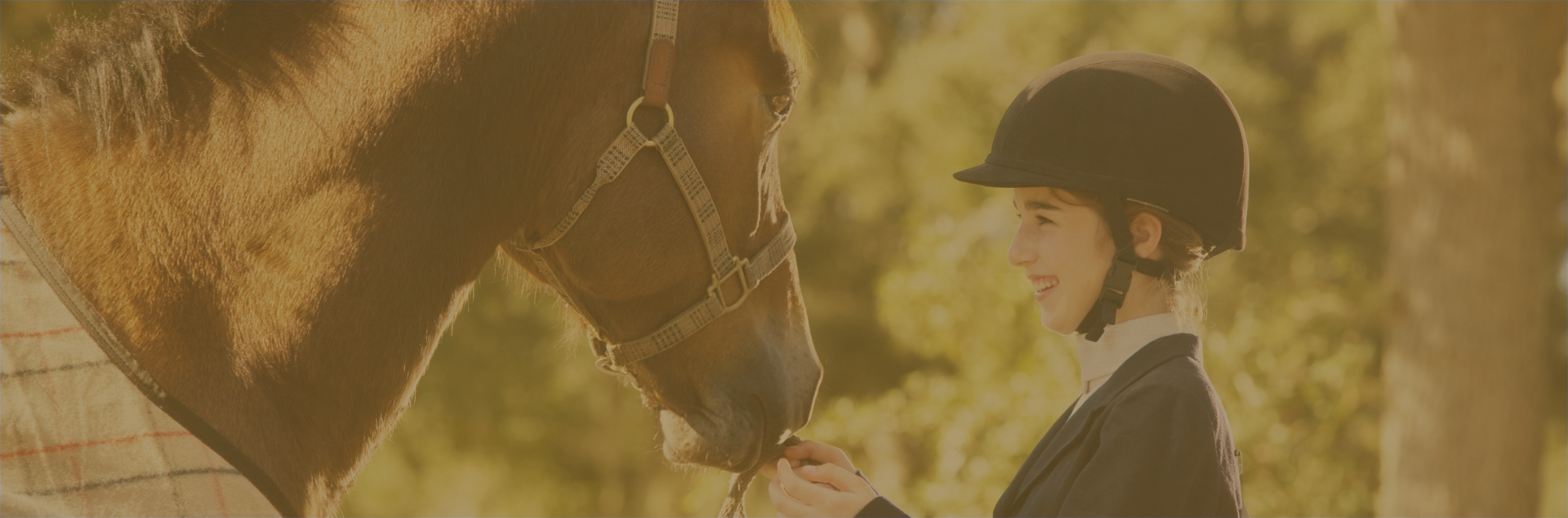 Frequently Asked Questions Cavallo Farms