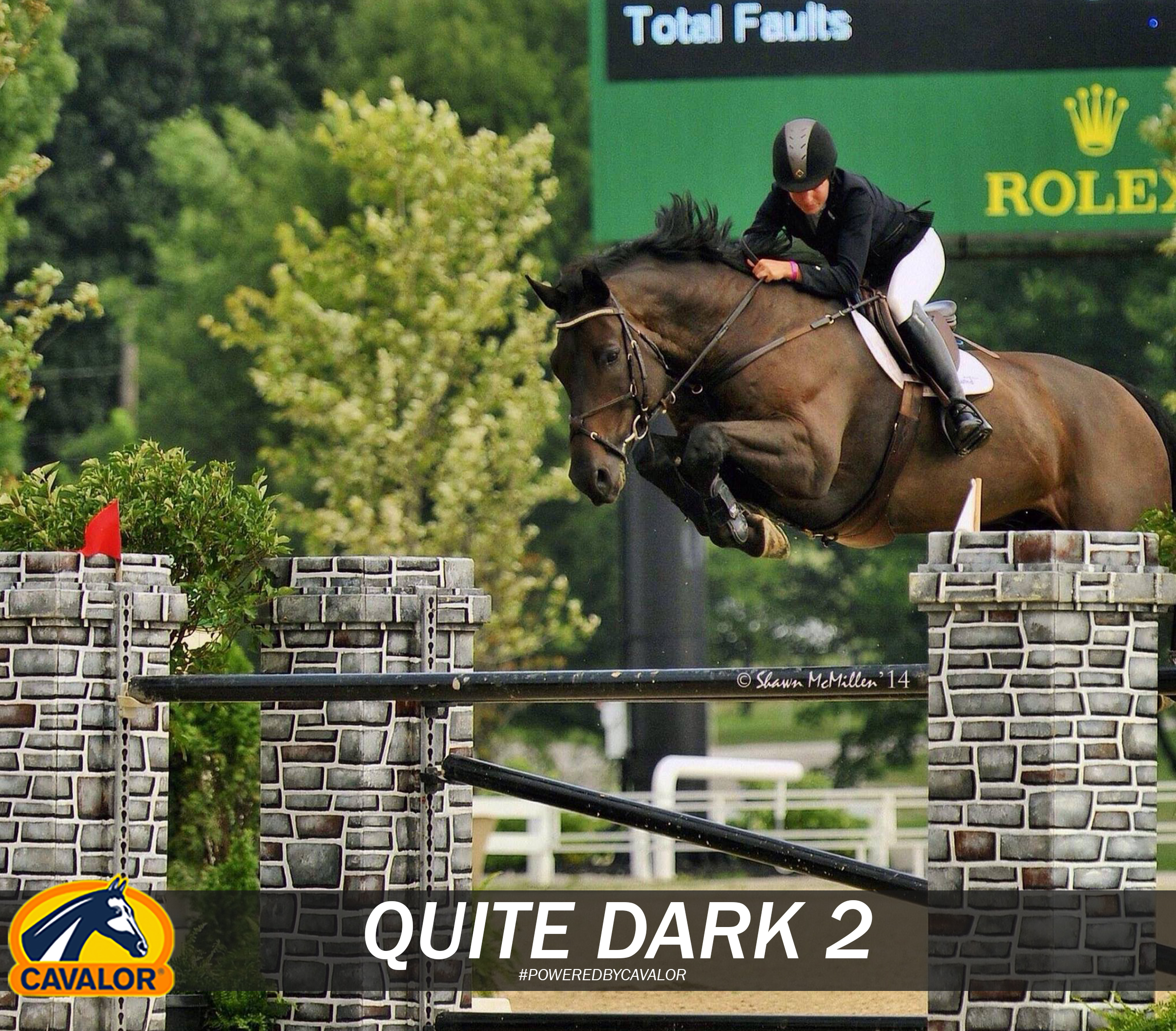 Friday Spotlight with GP Jumping “QD”! Cavalor Academy