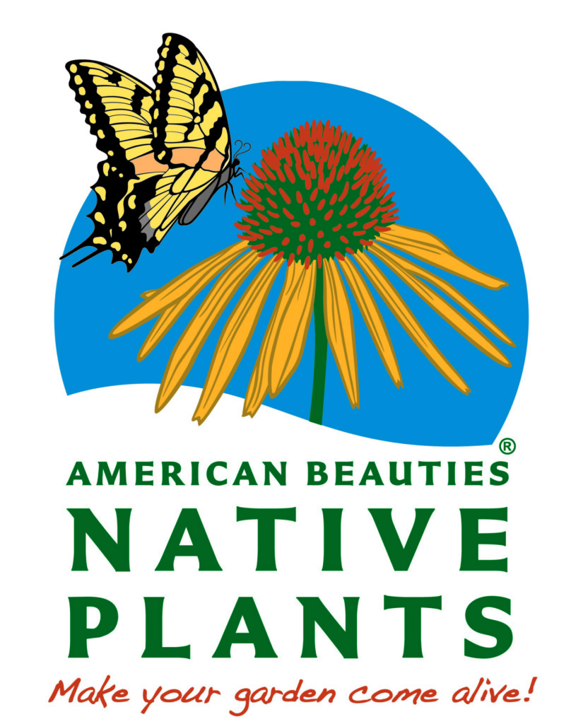 American Beauties Native Plants® Cavano's Perennials