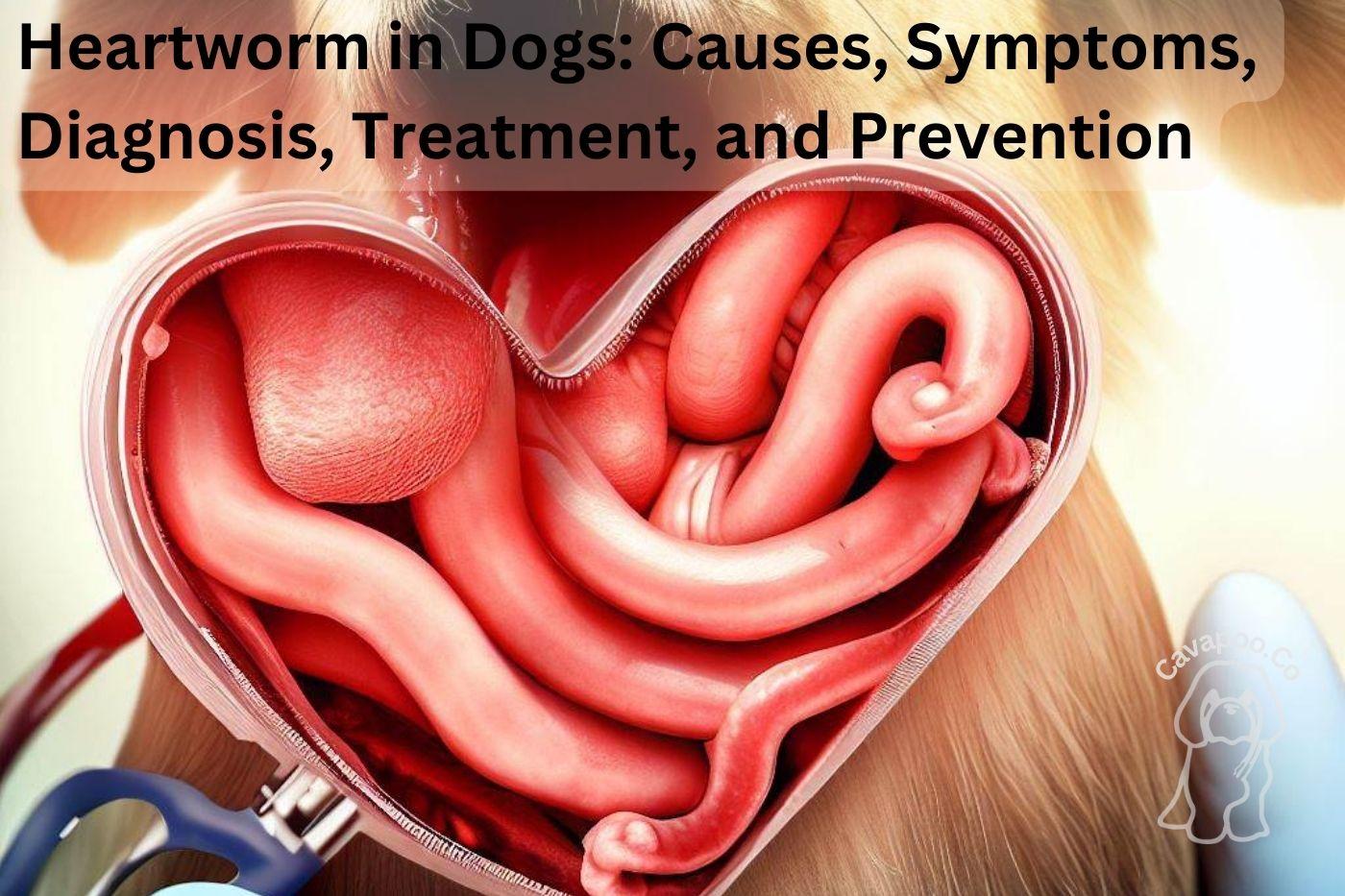 Understanding and Protecting Your Pet from the Hidden Threat of