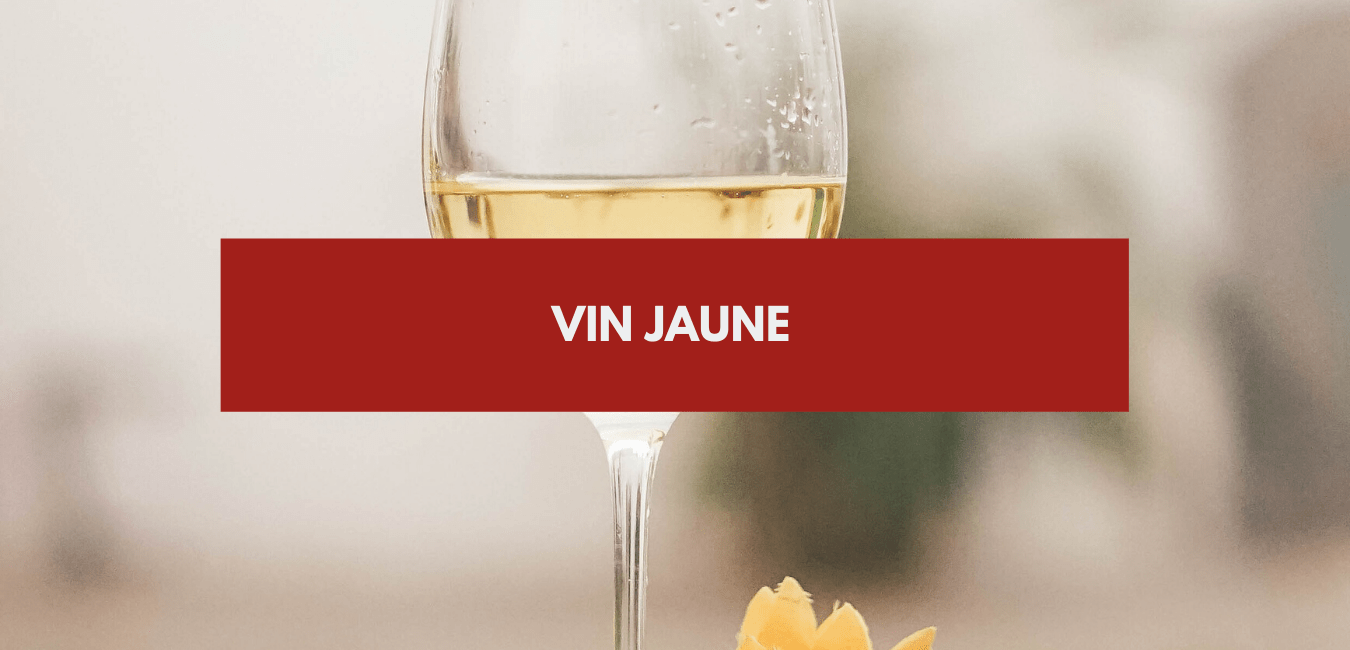 Quand boire du vin blanc ? Comment choisir son vin