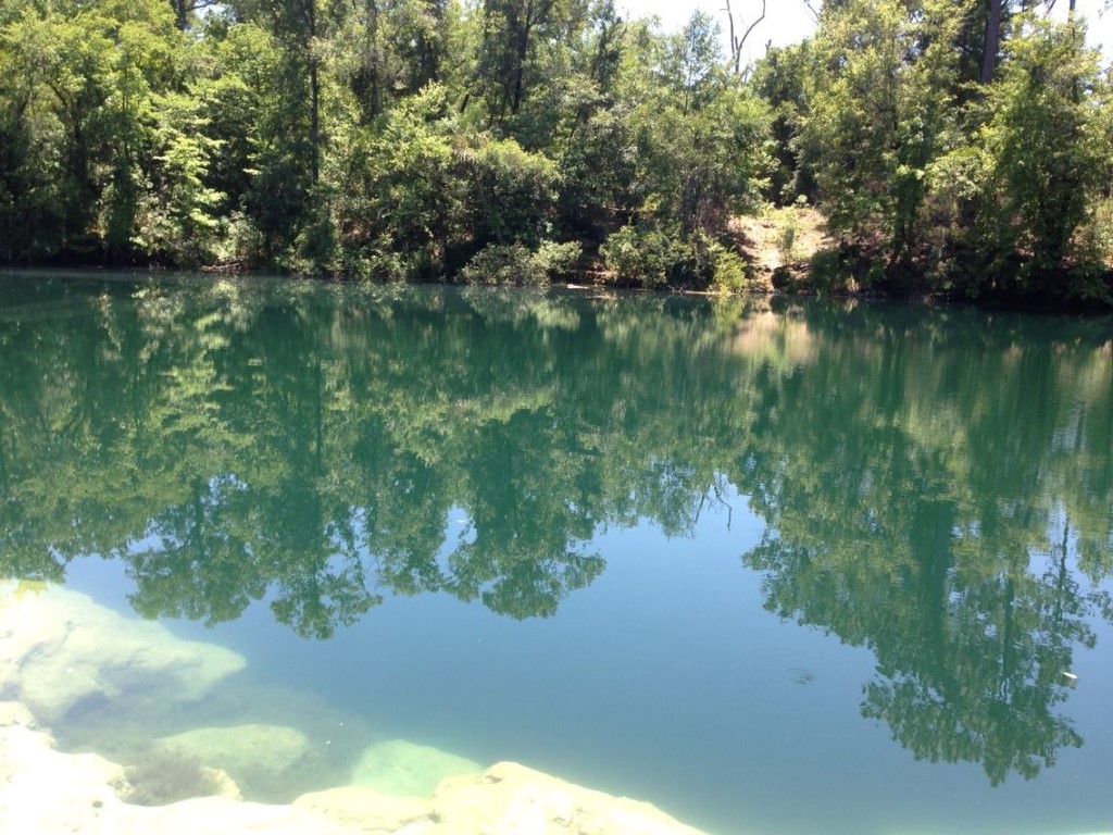 » Cave Diving » United States » Cherokee Sink