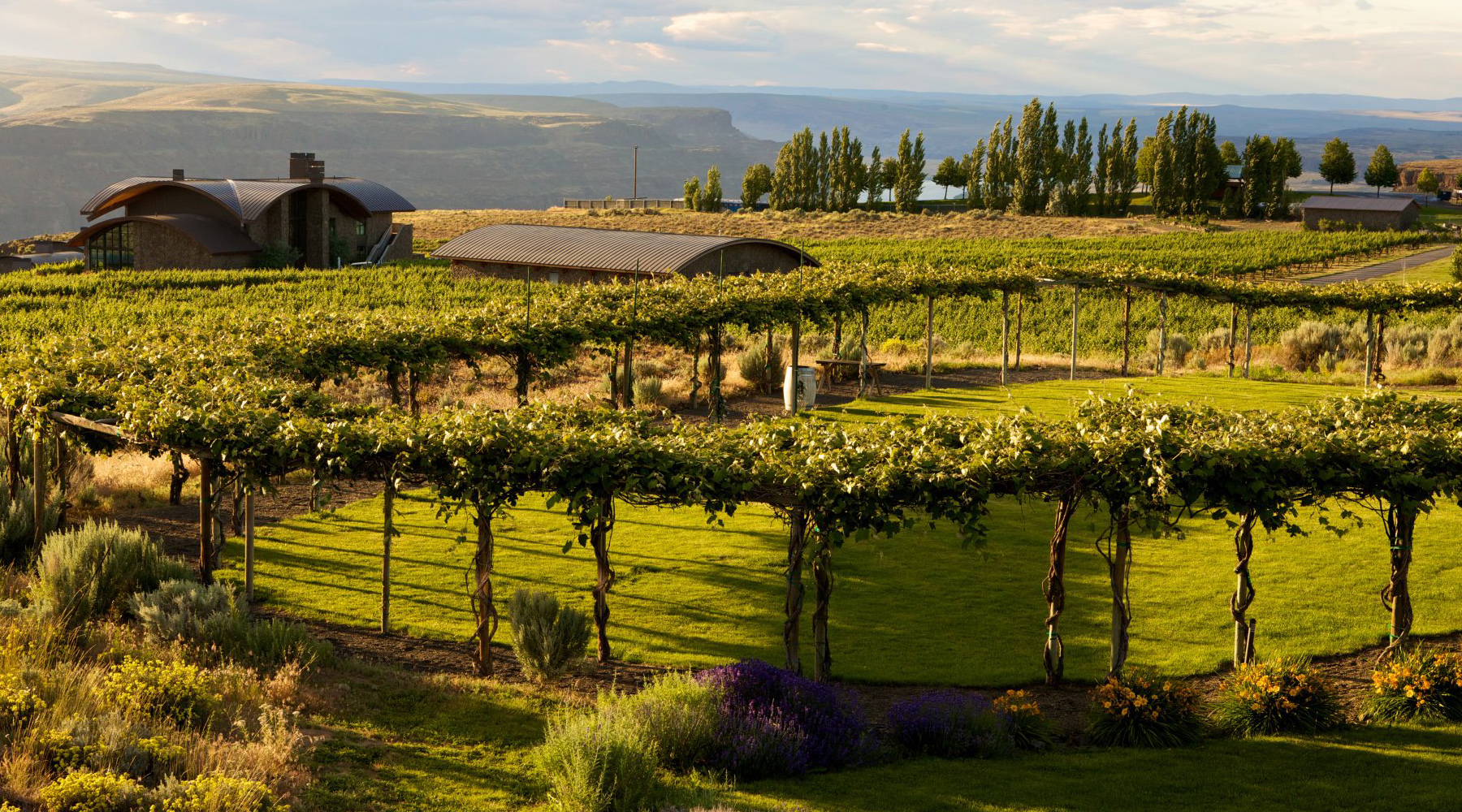 Locations Cave B Estate Winery