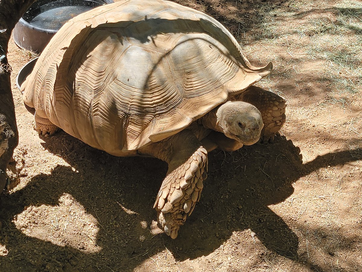 Kiwanis' Family Fun Days SOUTHWEST WILDLIFE CONSERVATION CENTER Cave
