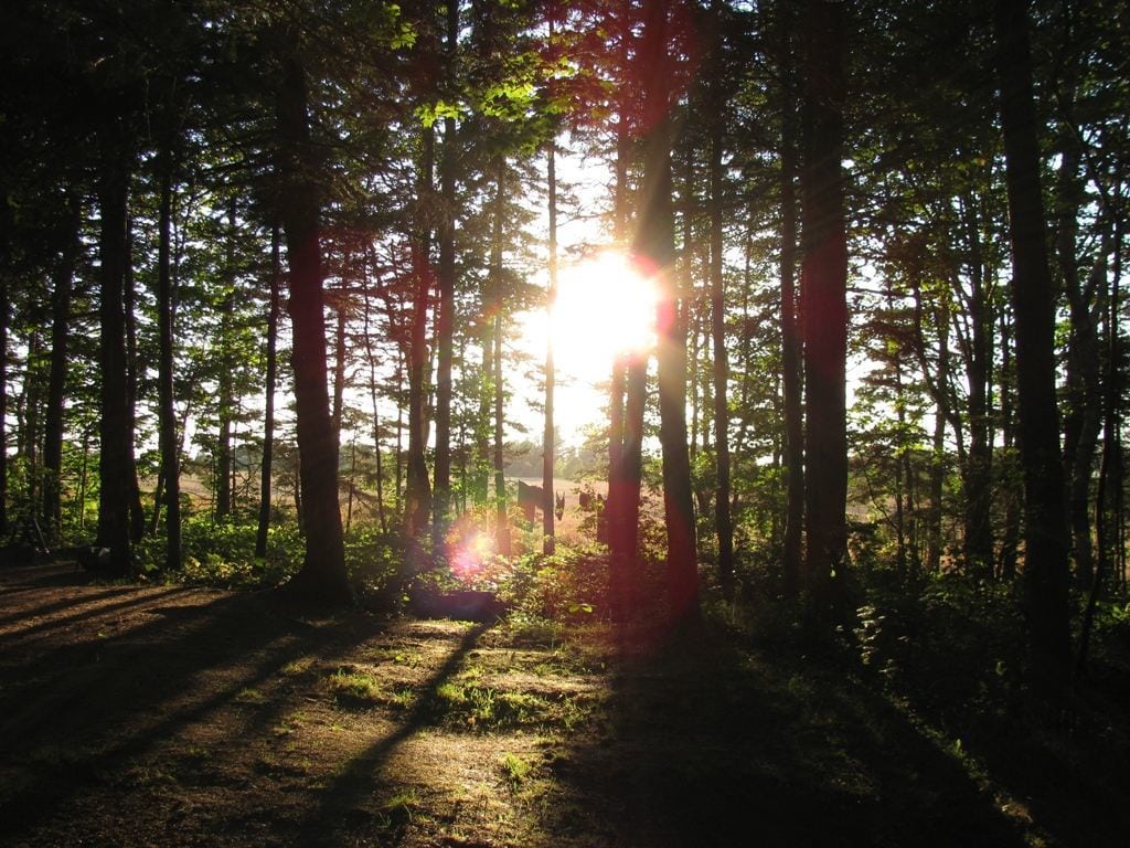 Cavendish Sunset Campground Cavendish Beach