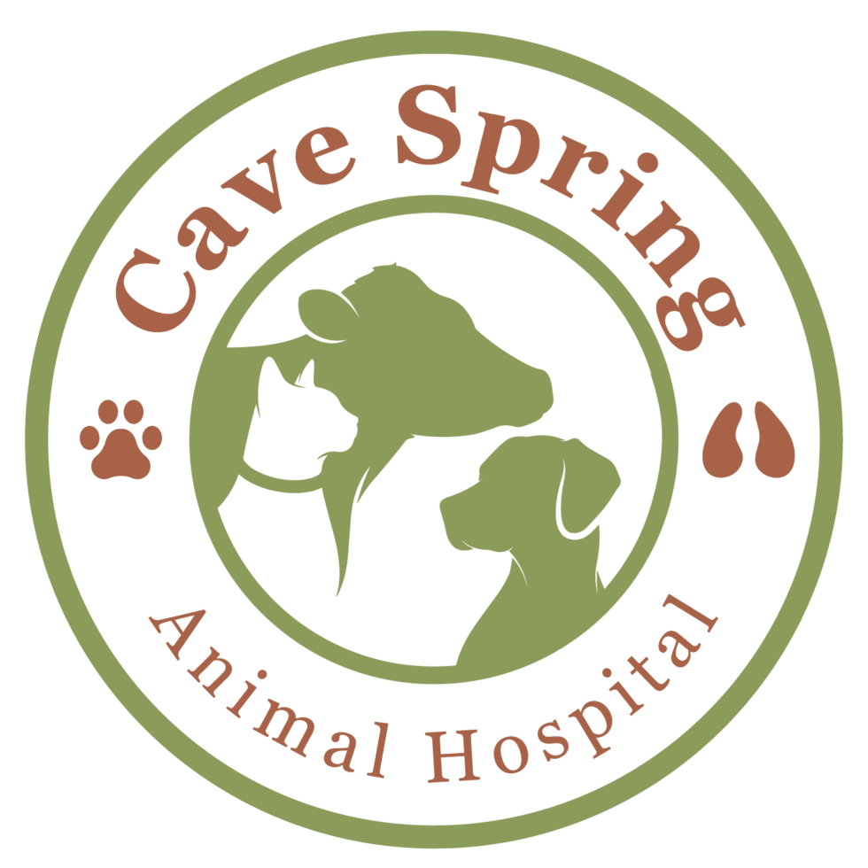 Meet Our Team Cave Spring Animal Hospital