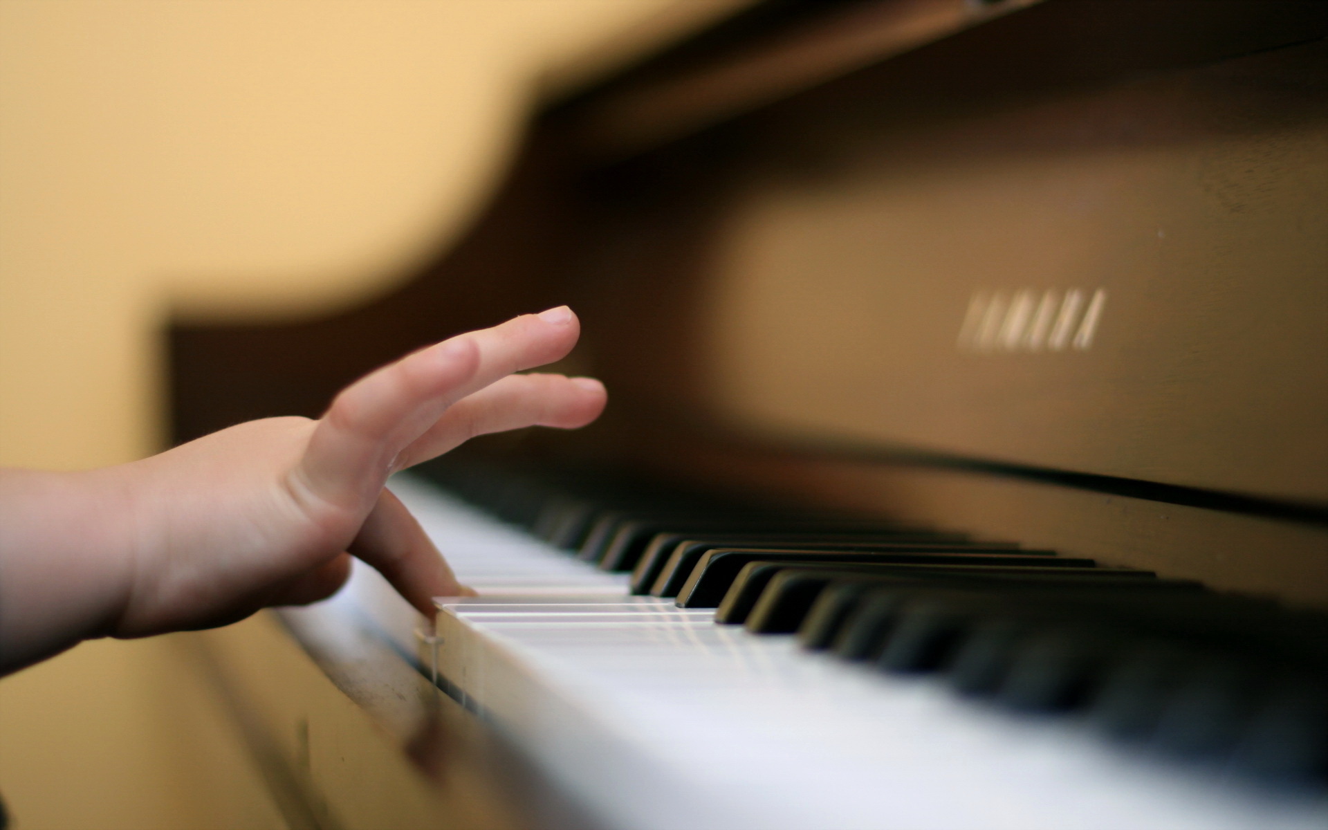 Private Piano Lessons (Lancaster, PA) Beginner and Advanced Courses