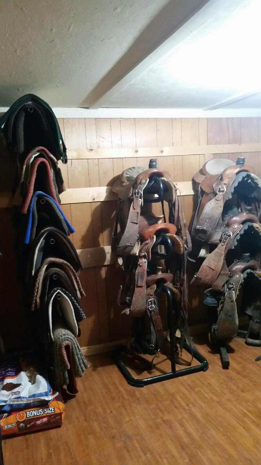 Barn or Tack Room Makeover Organizing horse tack
