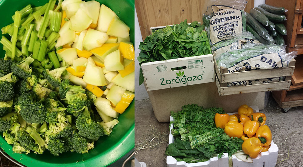 Ways to help Cavy Corner