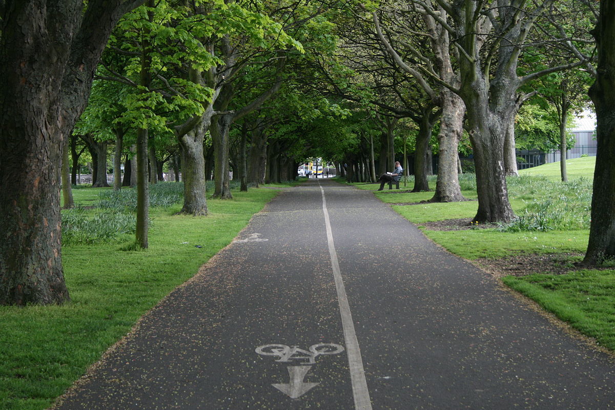 Enhance trails & bicycle paths that connect residents to parks Municipal