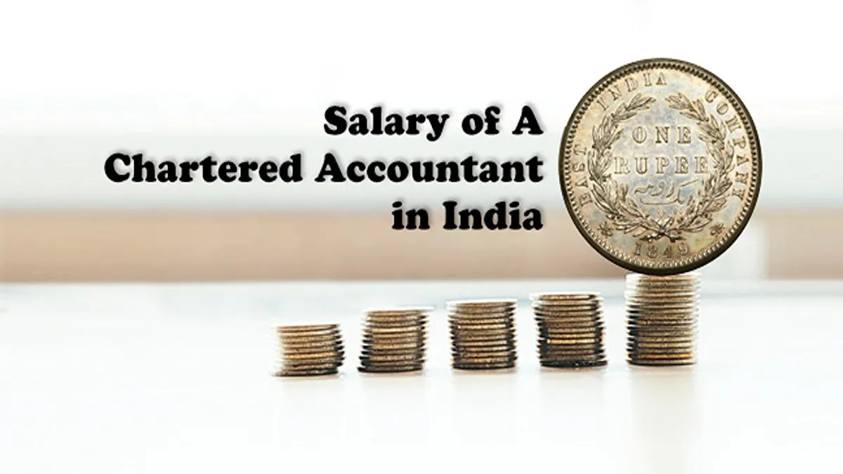 Chartered Accountant or CA Salary in India 2024 Know Everything