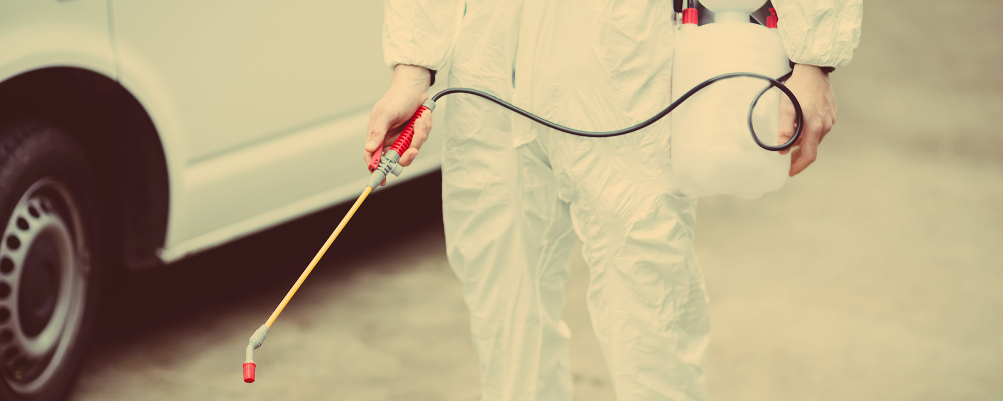 Pest Control Service Doha Pest Control Company in Doha Qatar