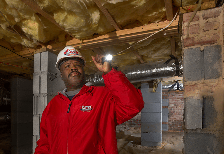 Termite Protection Cayce Exterminating Company