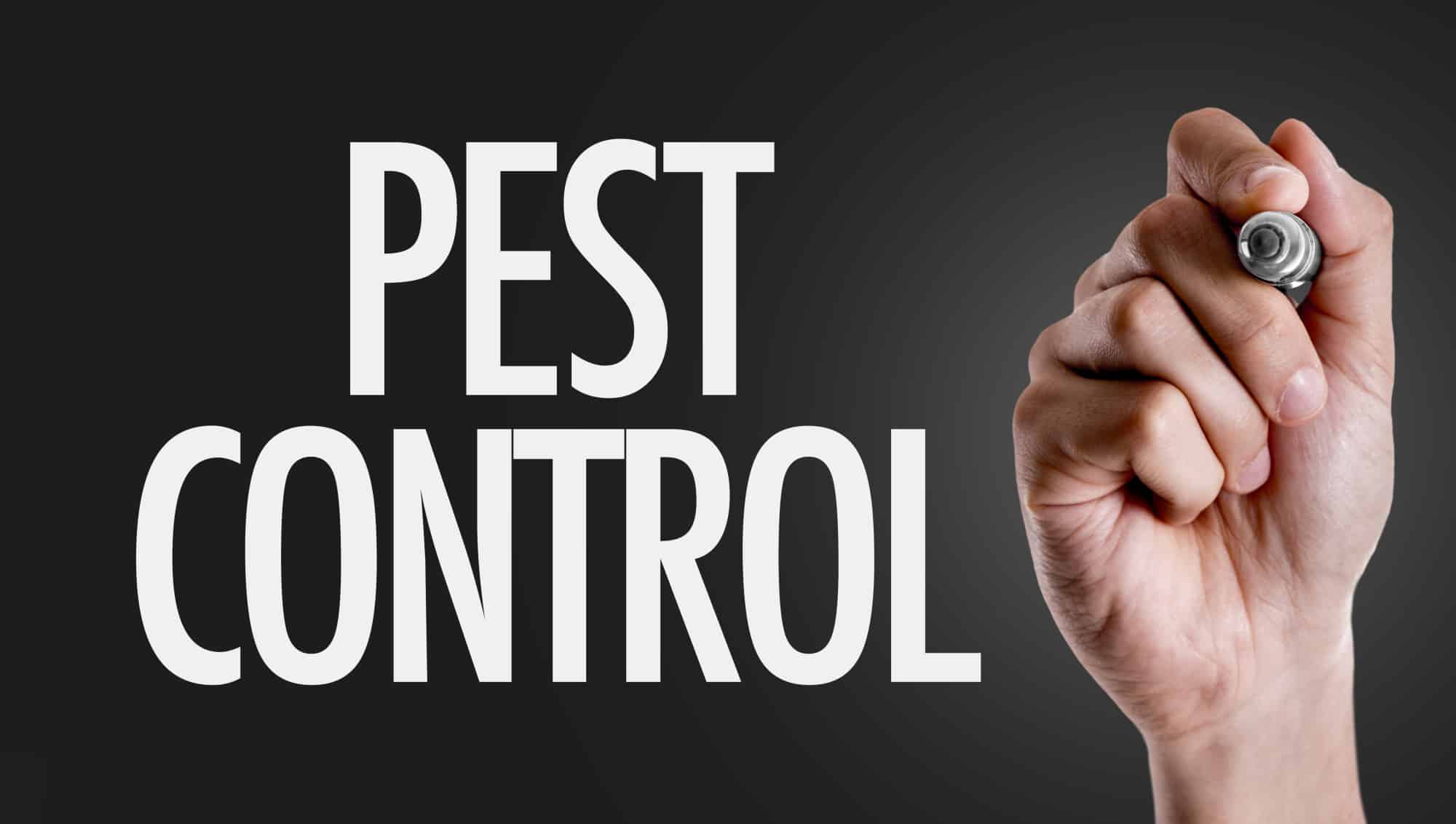 7 Signs That You Should Call Pest Control in Columbia, SC Cayce
