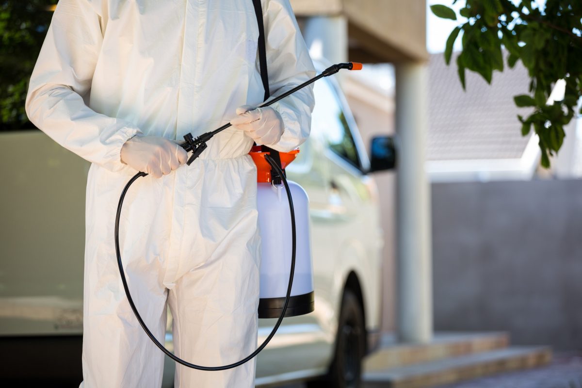 7 Signs That You Should Call Pest Control in Columbia, SC Cayce