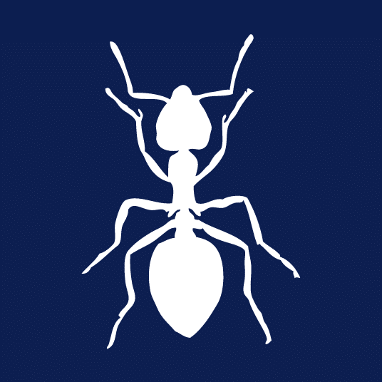 Cayce Exterminating Company Pest Control Columbia SC