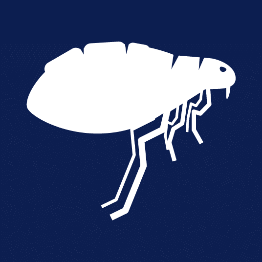 Cayce Exterminating Company Pest Control Columbia SC