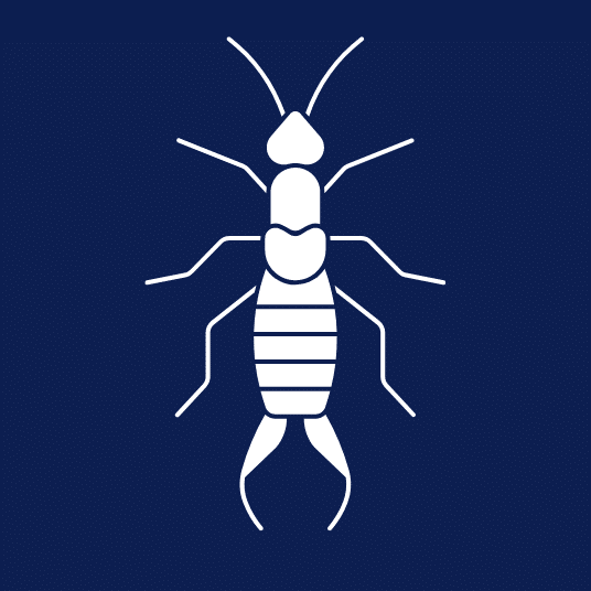 Cayce Exterminating Company Pest Control Columbia SC
