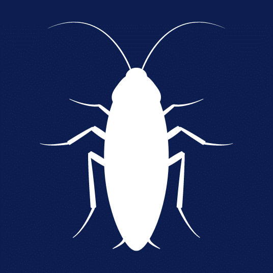 Cayce Exterminating Company Pest Control Columbia SC
