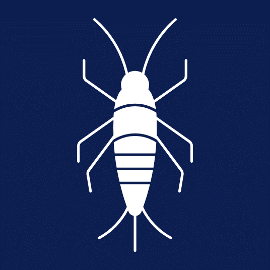 Cayce Exterminating Company Pest Control Columbia SC