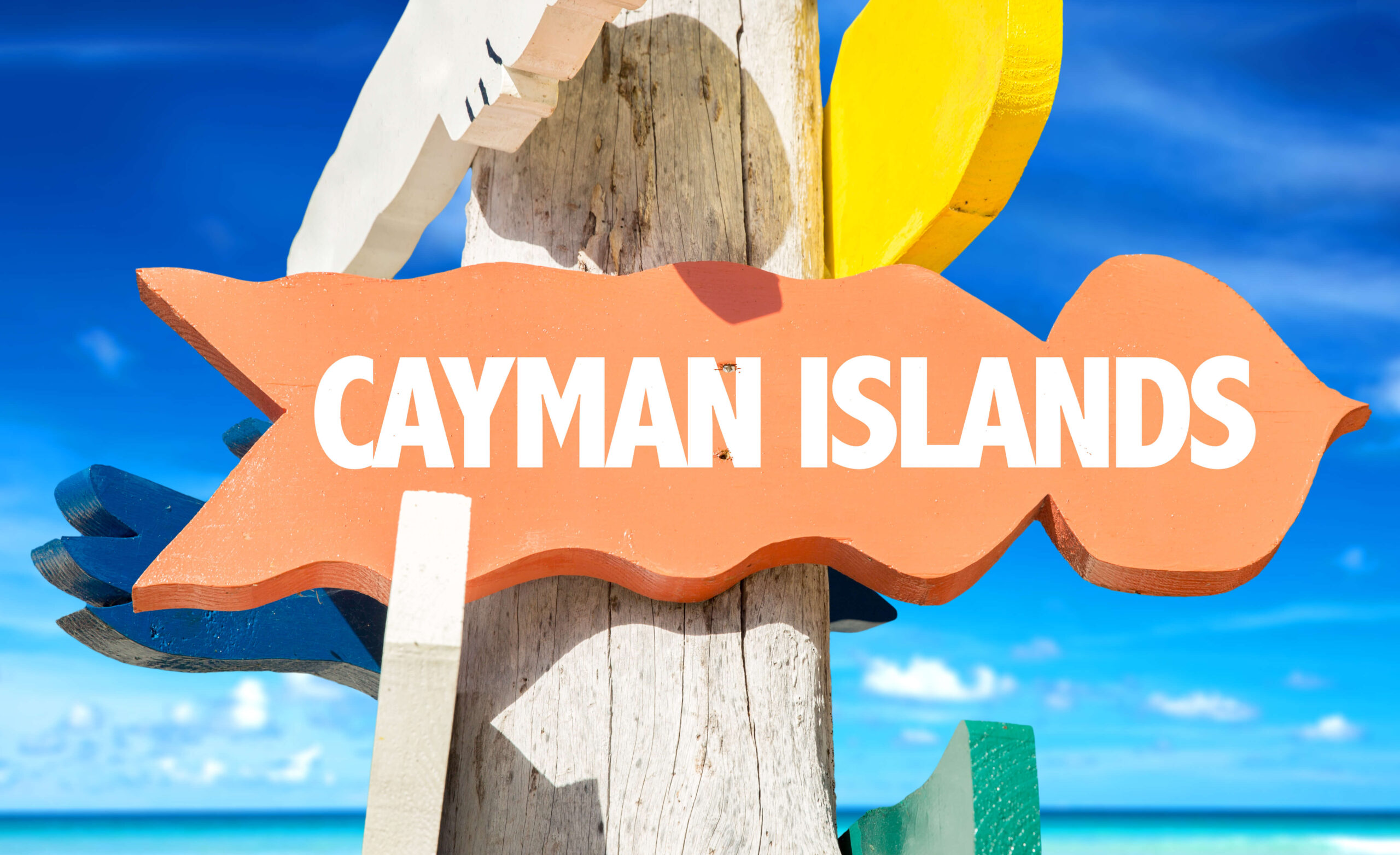 Cayman Visitor Grand Cayman Tours, Excursions, & Things to Do