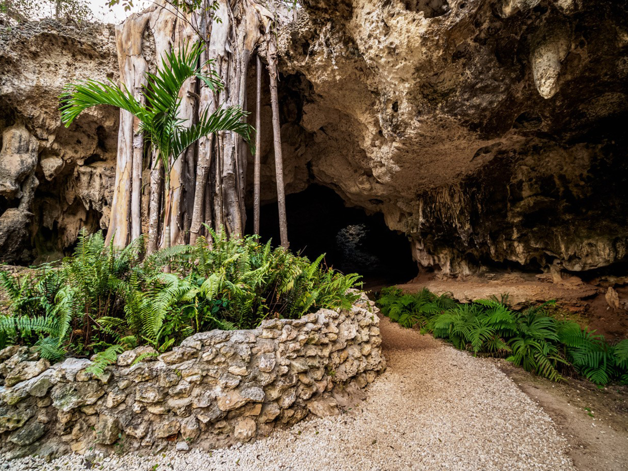 Cayman Crystal Caves Caymanvisitor