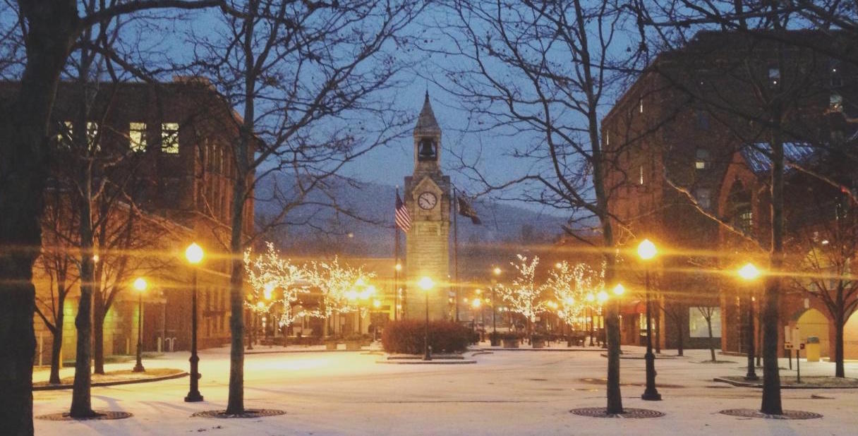 Corning Special Grasspastured Chicken for Your Holiday Roasts Cayuta Sun Farm