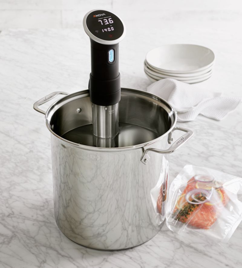 AllClad Stainless Steel 12 qt. Multipot with Perforated Insert and