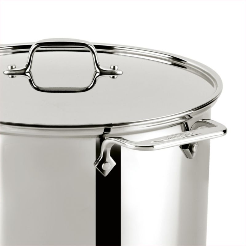 AllClad 8Qt. Stainless Steel Multipot with Perforated Insert and