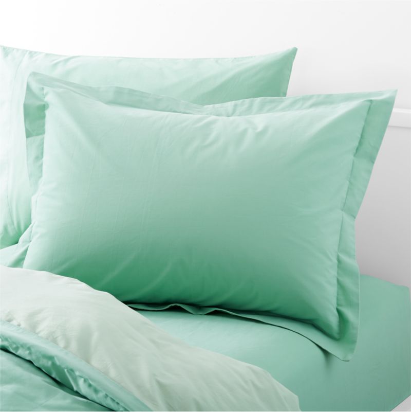 Modern Ari Organic Brushed Cotton Reversible Kids Mint Pillow Sham