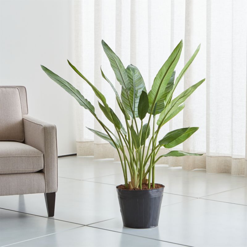 Artificial/Faux Bird of Paradise Tree + Reviews Crate & Barrel
