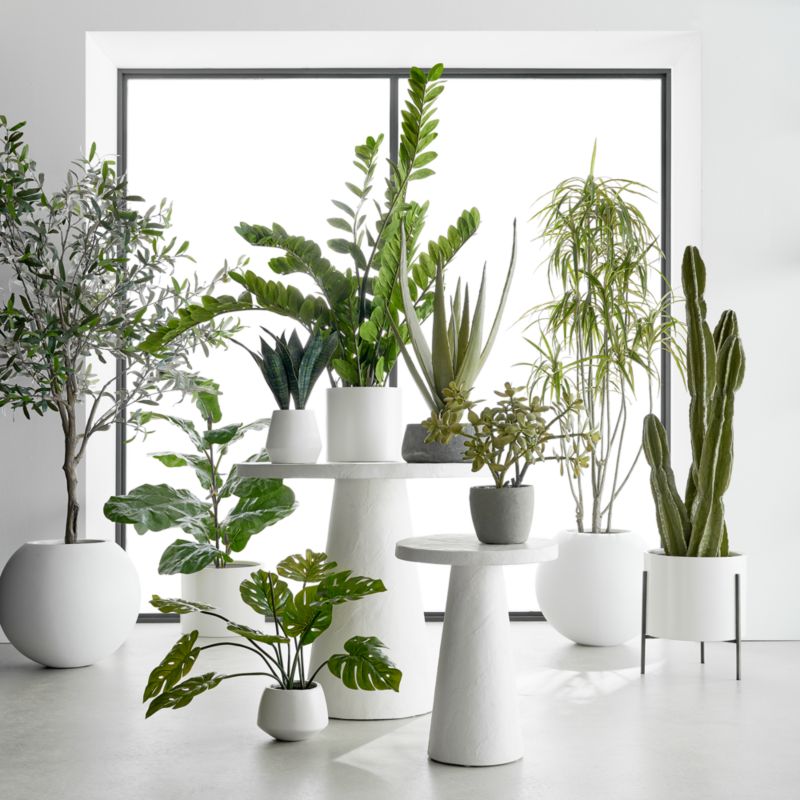 Faux Potted Jade Plant + Reviews Crate & Barrel Canada