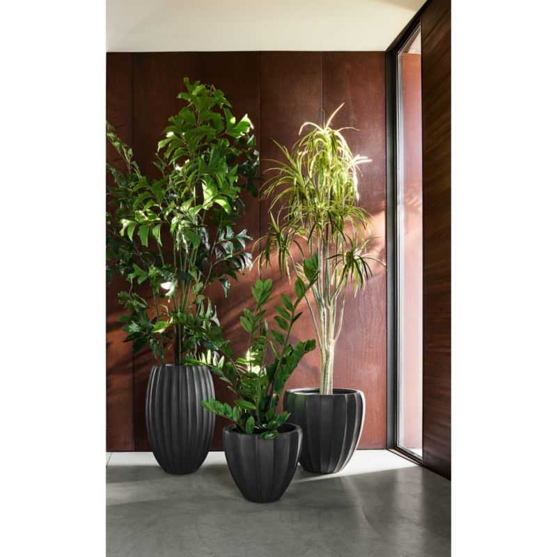 Artificial/Faux Potted ZZ Plant + Reviews Crate & Barrel Canada