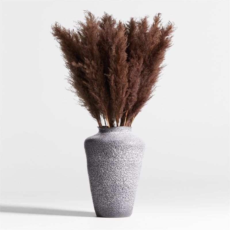 Dried Brown Grass Plume + Reviews Crate & Barrel