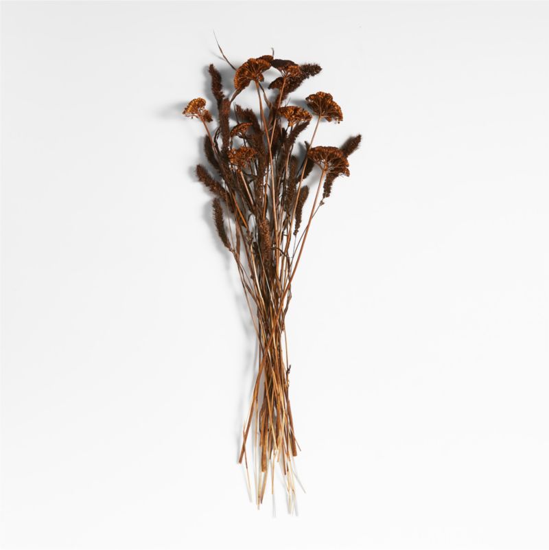 Dark Brown Yarrow & Setaria Dried Flower Bouquet + Reviews Crate