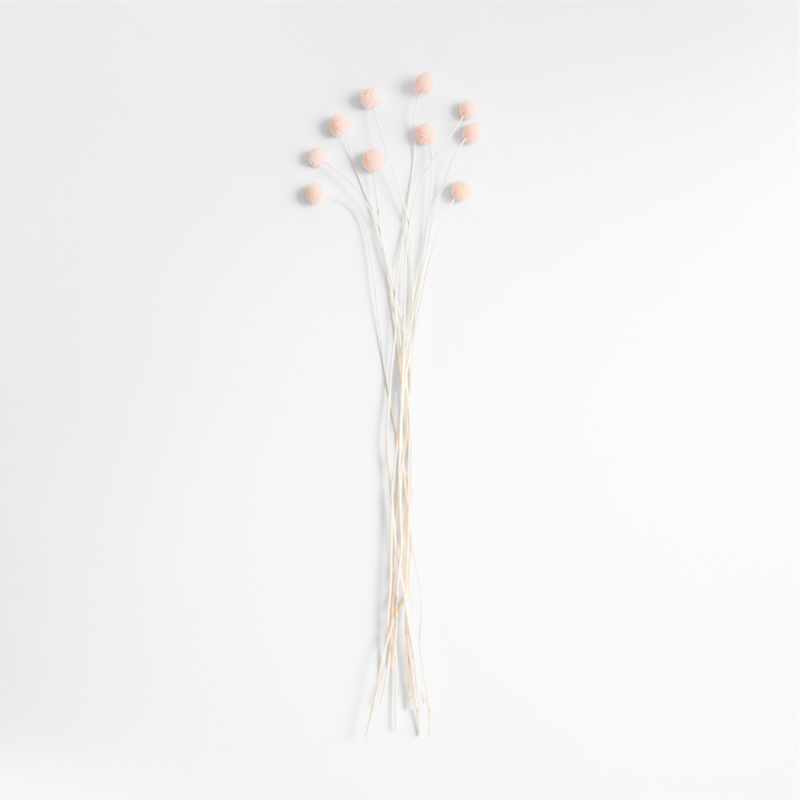 Pink Dried Craspedia Flower Bunch + Reviews Crate & Barrel