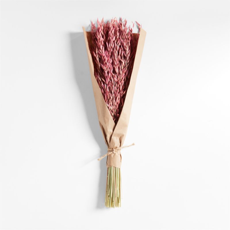 Pink Oat Decorative Dried Botanical Bunch + Reviews Crate & Barrel