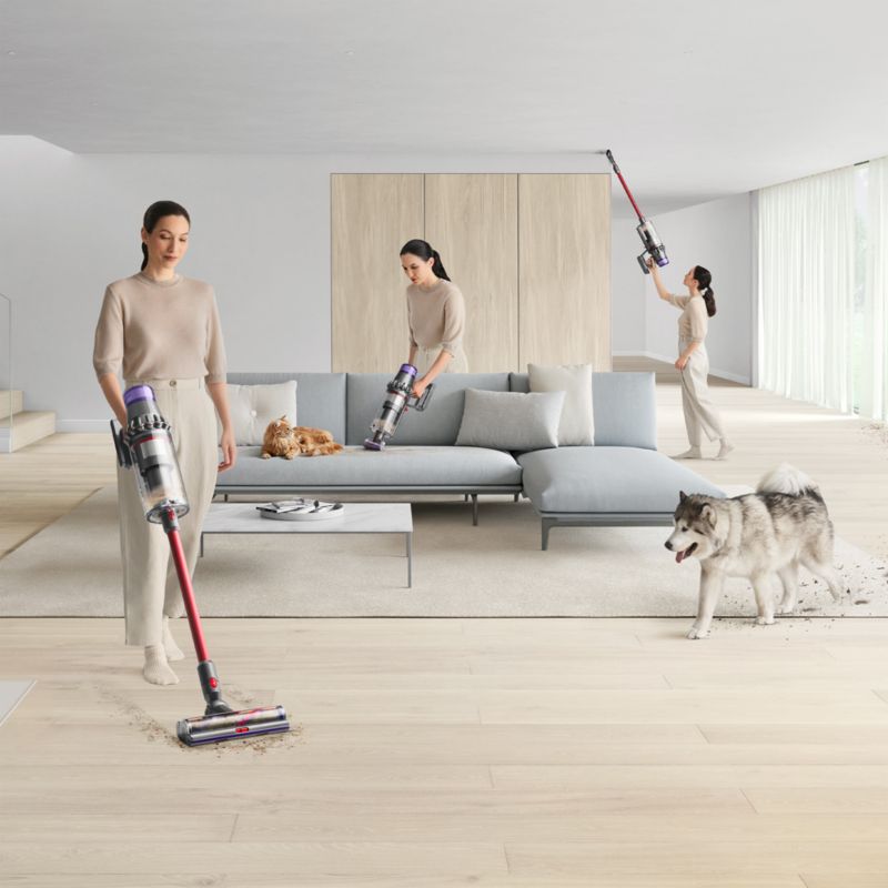 Dyson Outsize Cordless Vacuum Cleaner + Reviews Crate & Barrel