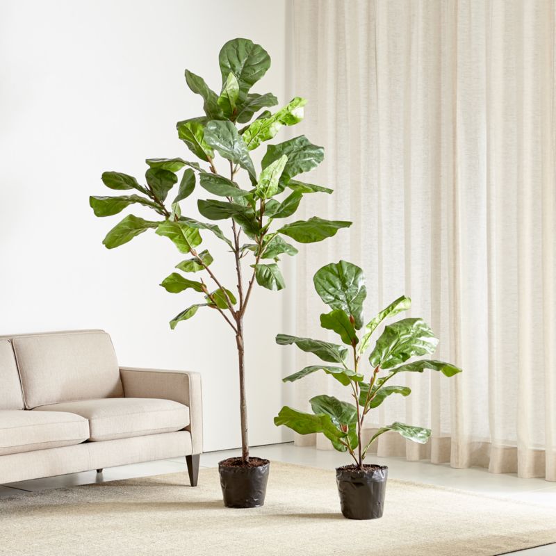 Faux Fiddle Leaf Fig Trees Crate & Barrel Canada