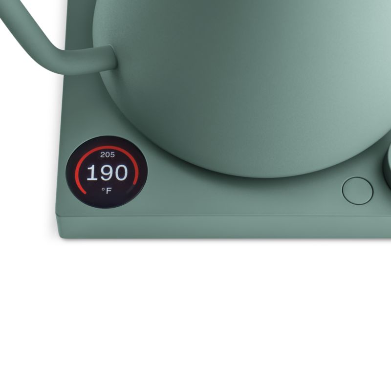 Fellow Stagg EKG Pro Electric Tea Kettle in Smoke Green with Maple Accents + Reviews Crate