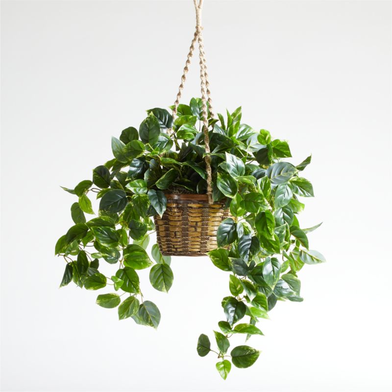 Hanging Faux Pothos Plant with Basket Crate & Barrel