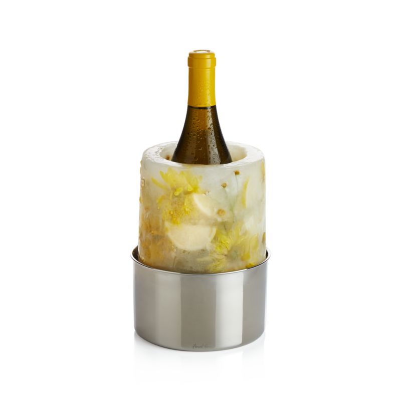 Ice Mold/Wine Bottle Chiller + Reviews Crate & Barrel Canada